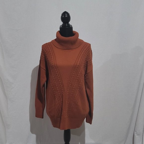 Alison Sheri Sweaters - Turtleneck sweater thick pull over fall orange long sleeve medium academia new